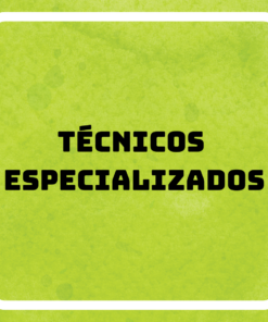 Técnicos Especializados